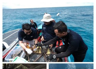 Pulau Pahat Jadi Fokus Baru KOMPAK Anambas untuk Rehabilitasi Karang