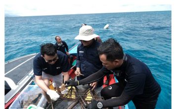 Pulau Pahat Jadi Fokus Baru KOMPAK Anambas untuk Rehabilitasi Karang