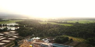 PT IBAS Tegaskan Tidak Pernah Rampas Hutan Lindung di Aceh Utara