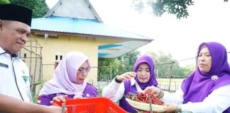 Ibu Bupati Lingga Panen Cabai Perdana, Dorong Ketahanan Pangan dari Pekarangan