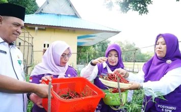 Ibu Bupati Lingga Panen Cabai Perdana, Dorong Ketahanan Pangan dari Pekarangan