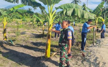 Lanud Raden Sadjad dan Masyarakat Bersama Jaga Ketahanan Pangan di Natuna