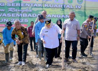Dukung Swasembada Pangan 2025, Bupati Kasmarni Ikut Tanam Jagung Serentak Kuartal IV Bersama Gubernur Riau dan Kapolda Riau