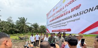 Bupati Al Farlaky Launching Penanaman Padi Gogo Terintegrasi Peremajaan Sawit Rakyat