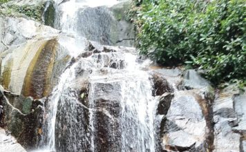 PDAM Tirta Nusa Natuna Evaluasi Pemanfaatan Sumber Air di Kawasan Hutan Lindung, Zaharuddin Tegaskan Komitmen Kelestarian dan Pelayanan Publik