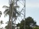 Tower BTS Indosat di Desa Kudung Belum Maksimal, Warga Keluhkan Sinyal Lemah