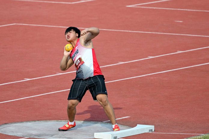 GridArt_20251118_061227577