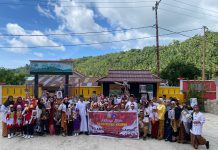 SDN 001 Nyamuk Peringati Hari Pahlawan dengan Upacara dan Lomba Edukatif