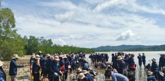 Medco E&P Natuna Bersama Generasi Muda Anambas Tanam 5.000 Bibit Manggrove