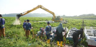 Aksi BP Batam Bersihkan Waduk Duriangkang, Jaga Kualitas Sumber Air