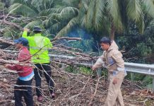 Hujan Deras Robohkan Pohon di Air Ringau, Dua Bhabinkamtibmas Gerak Cepat Bantu Warga