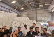 Mentan Pastikan Stok Beras Sumut Aman, Siapkan 3 Kali Lipat dari Kebutuhan