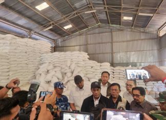 Mentan Pastikan Stok Beras Sumut Aman, Siapkan 3 Kali Lipat dari Kebutuhan