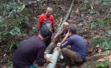 Perusahaan Air Minum Tirta Nusa Selesaikan Perbaikan Pipa Pecah yang Tertimpa Pohon