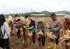 Kapolres Natuna Bersama Bupati Panen Jagung Pipil di Desa Gunung Putri