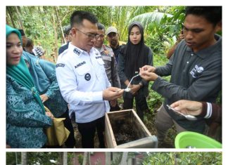 Dorong Ekonomi Kerakyatan, Bupati Anambas Kunjungi Sentra Madu Kelulut dan Kepiting Bakau Di Desa Langir