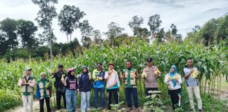 Bhabinkamtibmas Desa Mepar Dampingi Panen Jagung Pipil Bumdes, Dukung Program Swasembada Pangan