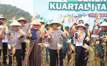 Dukungan Nyata Swasembada Pangan Nasional, Polda Kepri Gelar Panen Raya Jagung Serentak