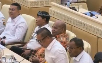 Wagub Kepri Paparkan Kondisi Pulau Terluar dan Wilayah Perbatasan ke Komisi II DPR RI