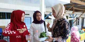 Posyandu Melur Desa Sipaku Area Terima Kunjungan Studi Tiru Persit Chandra Kirana