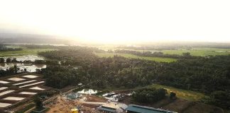 PT IBAS Tegaskan Tak Miliki HGU, Bahan Baku Sawit 100 Persen dari Kebun Masyarakat