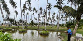 Lanud RSA Natuna Tebar 4.000 Bibit Nila Merah, Perkuat Ketahanan Pangan di Natuna