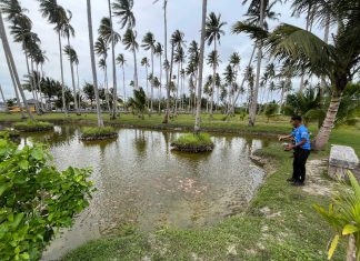 Lanud RSA Natuna Tebar 4.000 Bibit Nila Merah, Perkuat Ketahanan Pangan di Natuna