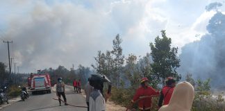 Polres Natuna Bersama Damkar dan BPBD Gerak Cepat Padamkan Karhutla di Jalan Poros Batubi–Ranai