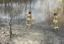 Satbrimob Polda Kepri Bergerak Cepat Padamkan Kebakaran Hutan di Bukit Daeng Tembesi Batam