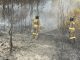 Satbrimob Polda Kepri Bergerak Cepat Padamkan Kebakaran Hutan di Bukit Daeng Tembesi Batam