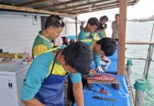 TeFa APHPi SMKN 1 Bunguran Barat Produksi Fillet Ikan untuk Program Makan Bergizi di SPPG Sedanau