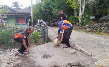 Gotong Royong Warga, TRC BPBD Siantan Timur Bantu Perbaikan Jalan Pintas Rusak