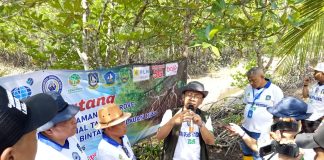 BPDAS Kepri Dorong Planting Tourism, Mangrove Jadi Daya Tarik Wisata Berbasis Ekologi di Bintan