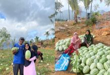 Armia Dampingi Panen Perdana Semangka 3 Ton di Pantai Armifa, Bukti Potensi Pertanian Pesisir Lingga