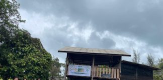 HMI Natuna Rayakan 79 Tahun dengan Aksi Nyata, Tebar Sembako dan Perkuat Kebersamaan