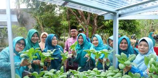 Ketua TP PKK Siak Apresiasi Panen Perdana Rumah Hidroponik KWT Benteng Lestari, Tekankan Konsistensi