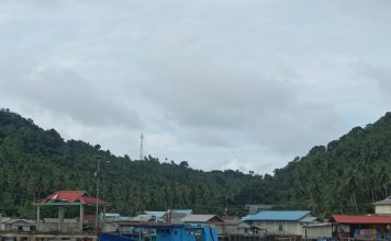 Internet Hilang-Timbul, Warga Desa Nyamuk Keluhkan Gangguan Sinyal 4G