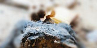 Warga Kampung Teregeh Lingga Digemparkan Penemuan Mayat Tak Utuh di Bawah Kolong Rumah