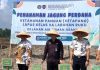 Bupati Asahan Hadiri Penanaman Jagung Perdana Program Ketahanan Pangan
