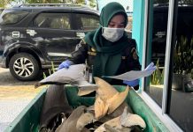 Karantina Kepri Terbitkan Sertifikat KI-2 untuk 34,35 Kg Sirip Hiu Natuna, Pastikan Sesuai Aturan KKP dan CITES