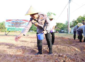 Polda Kepri Ikuti Tanam Raya Jagung Serentak Kuartal I Dukung Swasembada Pangan Nasional