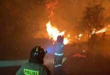 Gerak Cepat Polda Kepri Padamkan Kebakaran Hutan dan Lahan di Sembulang Batam