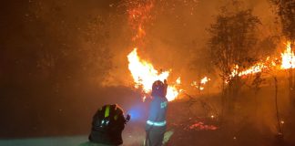 Gerak Cepat Polda Kepri Padamkan Kebakaran Hutan dan Lahan di Sembulang Batam