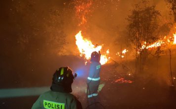 Gerak Cepat Polda Kepri Padamkan Kebakaran Hutan dan Lahan di Sembulang Batam