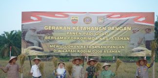 Kodim 0208 AS Bersama Forkopimda Panen Raya Padi Gogo