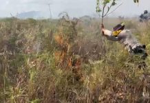 Polsek Bunguran Barat Bersama Warga Berjibaku Padamkan Karhutla 50 Hektare Secara Manual