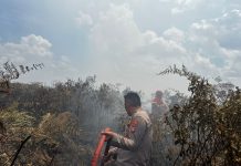 Kebakaran Lahan di Batubi–Kelarik, Polres Natuna Lakukan Pemadaman dan Penyelidikan