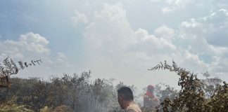 Kebakaran Lahan di Batubi–Kelarik, Polres Natuna Lakukan Pemadaman dan Penyelidikan