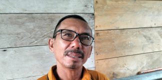 Aktivitas PT SSLP di Linau Disorot, Penanaman Sengon Dinilai Dipaksakan