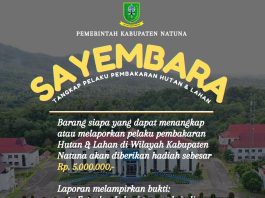 Sayembara Rp5 Juta Pelapor Karhutla Natuna Tuai Polemik, Publik Khawatir Picu Konflik Sosial